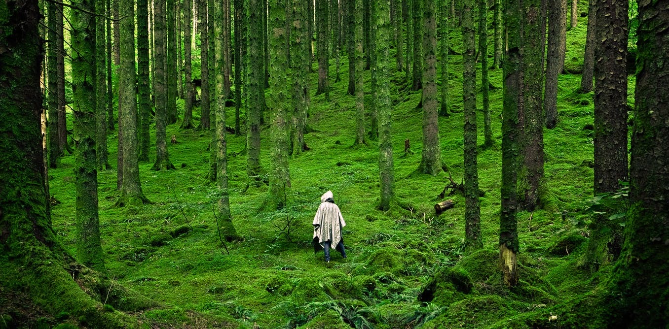 Me In Forest