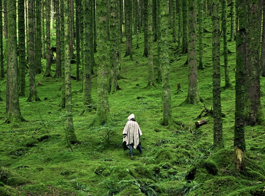 Me In Forest